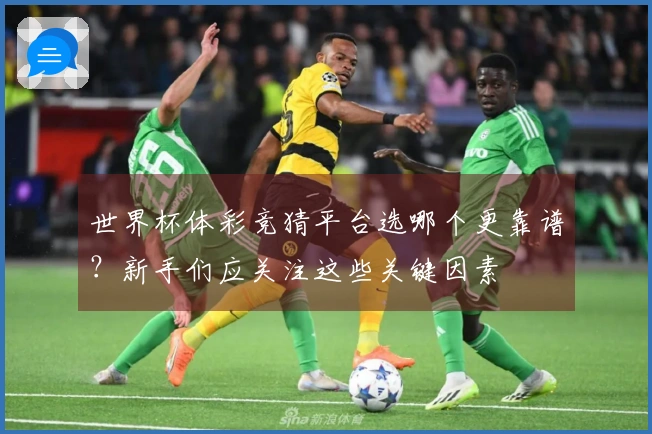世界杯体彩竞猜平台选哪个更靠谱？新手们应关注这些关键因素