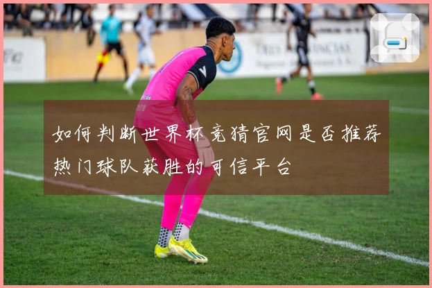 如何判断世界杯竞猜官网是否推荐热门球队获胜的可信平台