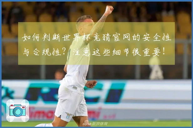 如何判断世界杯竞猜官网的安全性与合规性？注意这些细节很重要！