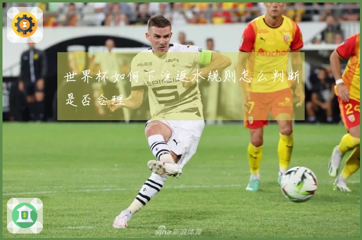 世界杯如何下注返水规则怎么判断是否合理
