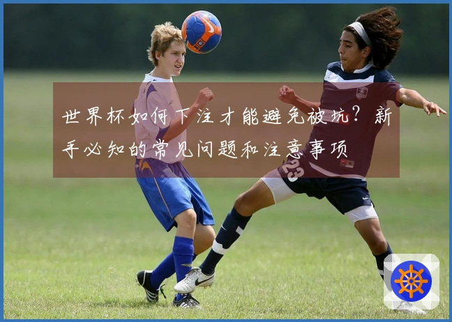 世界杯如何下注才能避免被坑？新手必知的常见问题和注意事项