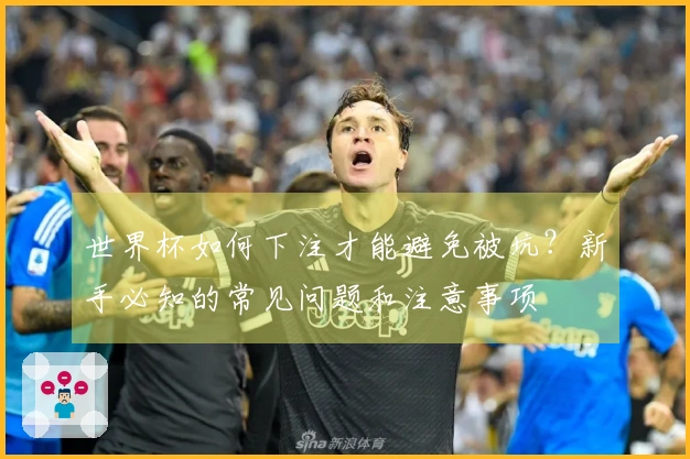 世界杯如何下注才能避免被坑？新手必知的常见问题和注意事项