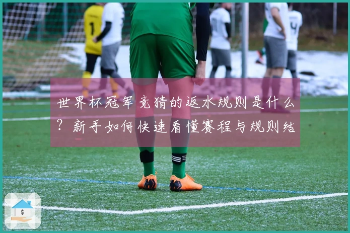 世界杯冠军竞猜的返水规则是什么？新手如何快速看懂赛程与规则结合的投注方式