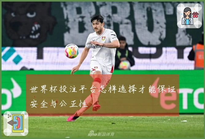 世界杯投注平台怎样选择才能保证安全与公正性
