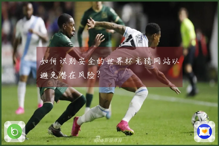 如何识别安全的世界杯竞猜网站以避免潜在风险？