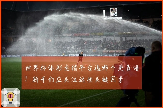 世界杯体彩竞猜平台选哪个更靠谱？新手们应关注这些关键因素
