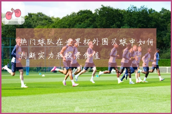 热门球队在世界杯外围买球中如何判断实力和投资价值