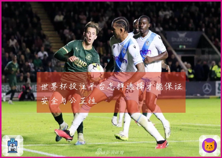 世界杯投注平台怎样选择才能保证安全与公正性